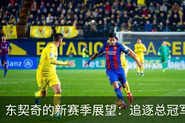 东契奇的新赛季展望：追逐总冠军与MVP的双重梦想