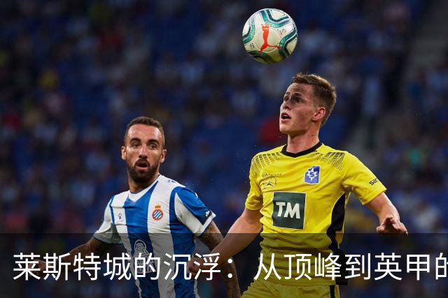 莱斯特城的沉浮：从顶峰到英甲的囧途